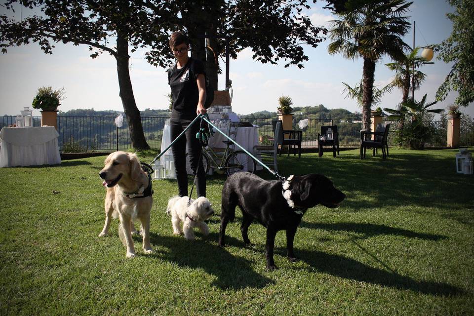 Orma di Maya - Wedding Pet Sitter