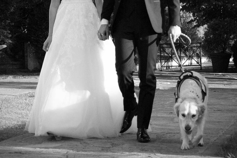 Orma di Maya - Wedding Pet Sitter