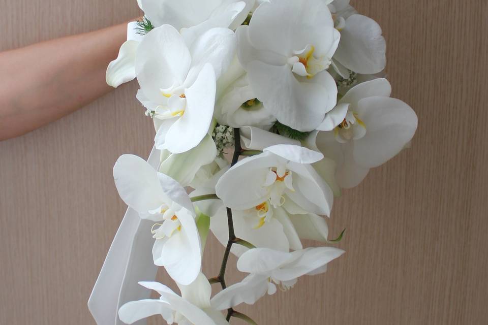 Bouquet phalenopsis