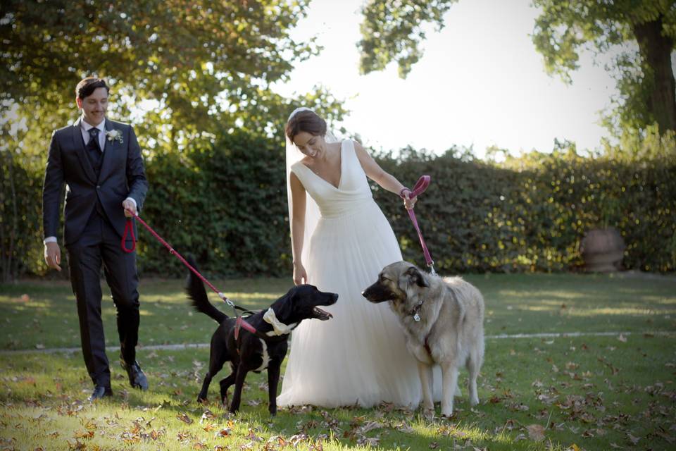 Orma di Maya - Wedding Pet Sitter