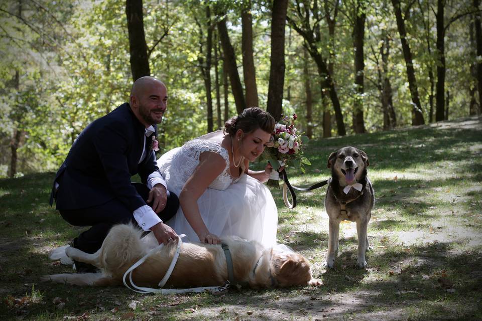 Orma di Maya - Wedding Pet Sitter