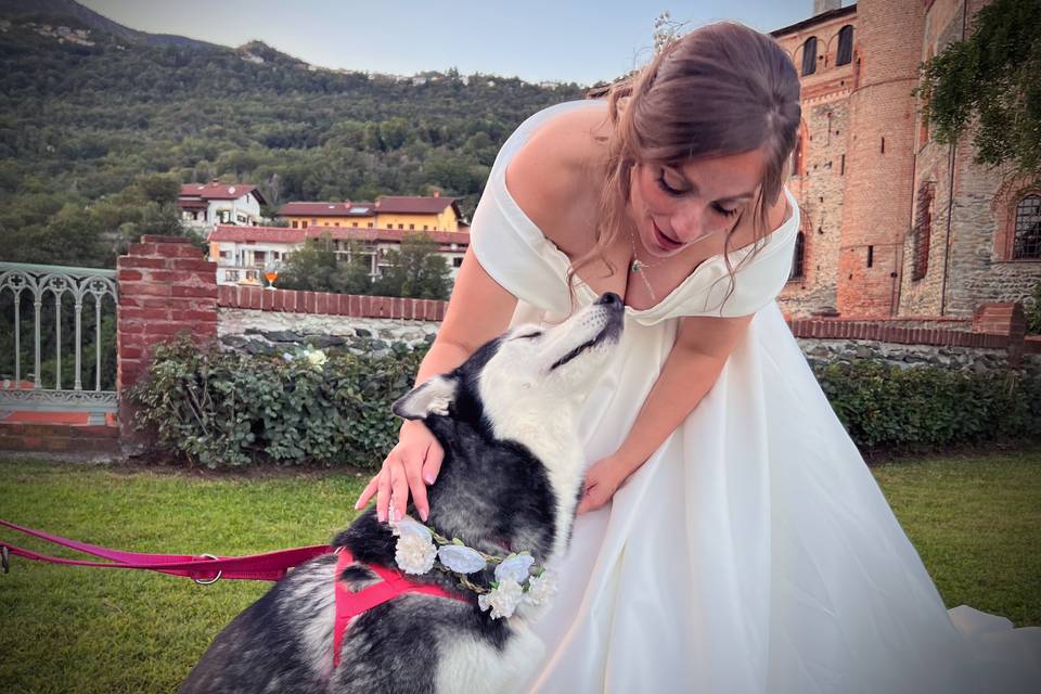 Orma di Maya - Wedding Pet Sitter