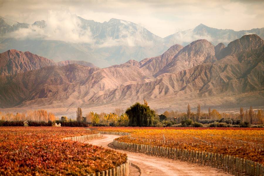 Mendoza Valley