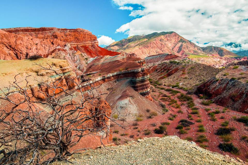 North Argentina