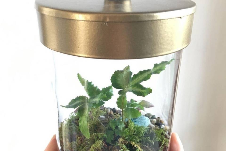 Terrarium