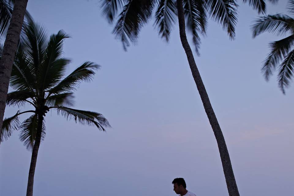 Private beach dinner