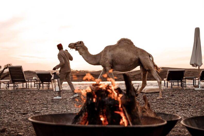 Camel lodge