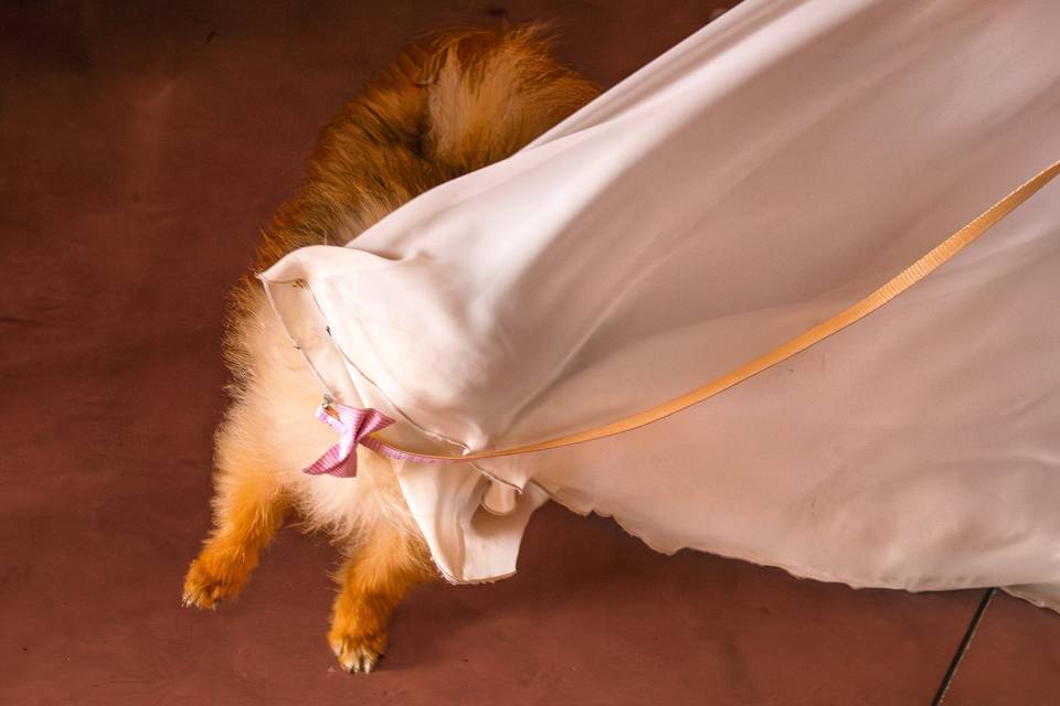 Sposa