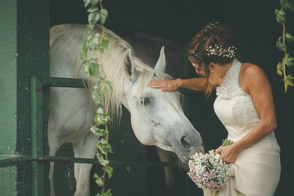 Ilaria Pedercini