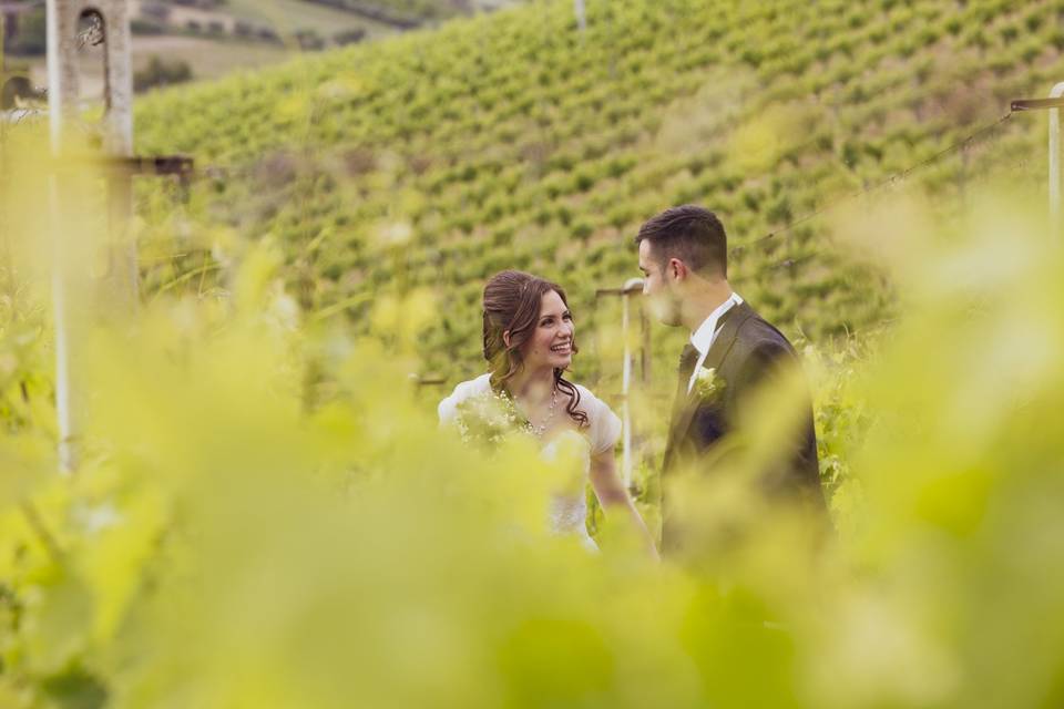 Passeggiando tra le vigne