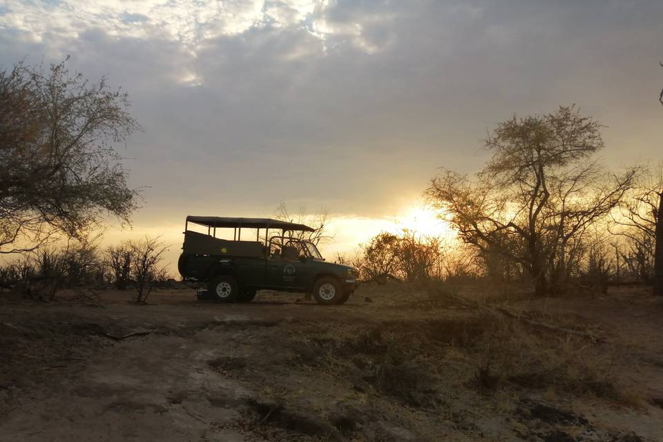 Safari tramonto Africa