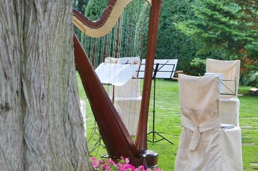 Musica in giardino