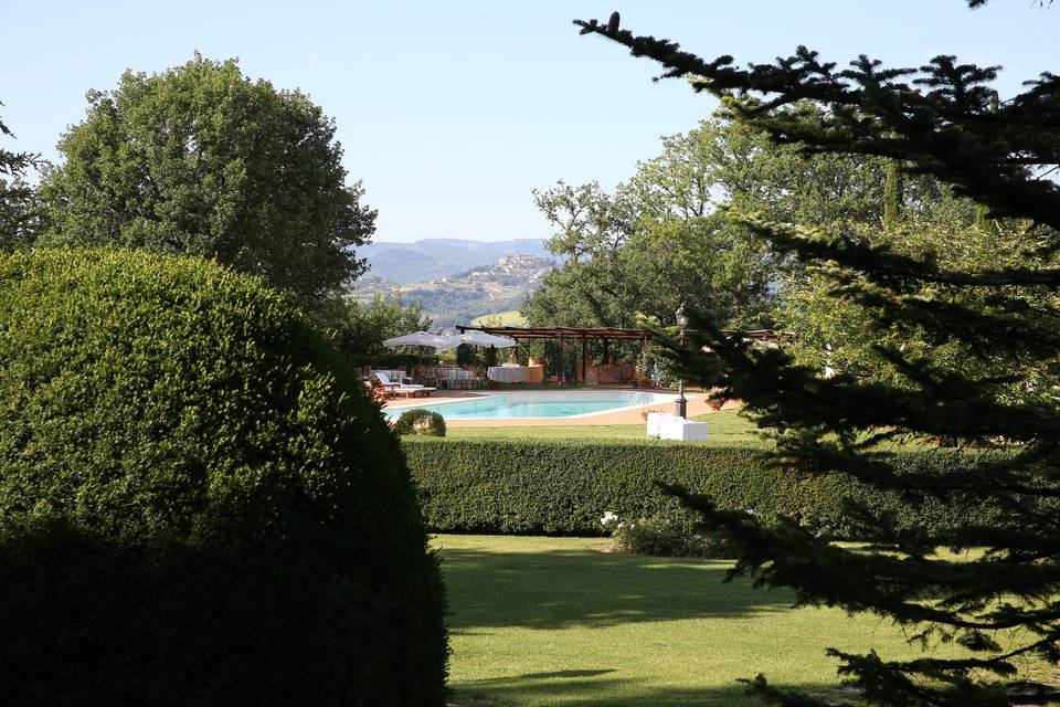 Il giardino, la piscina e un p