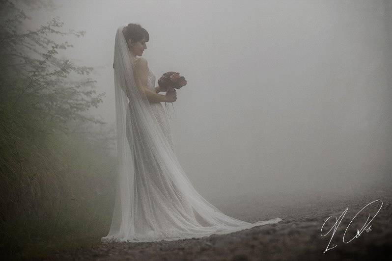 La sposa nella nebbia