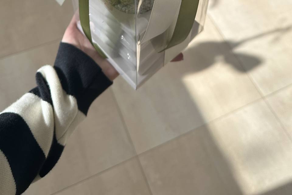 Viennetta small