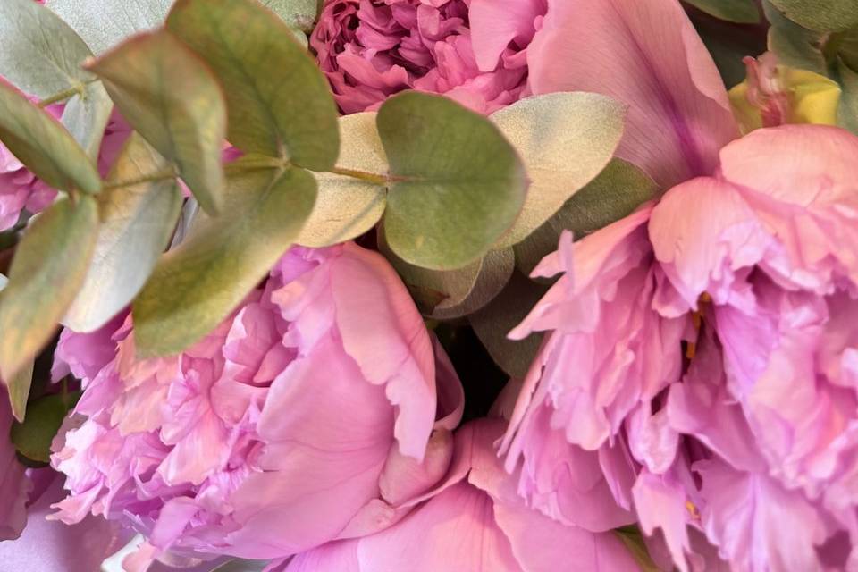 Composizione con peonie