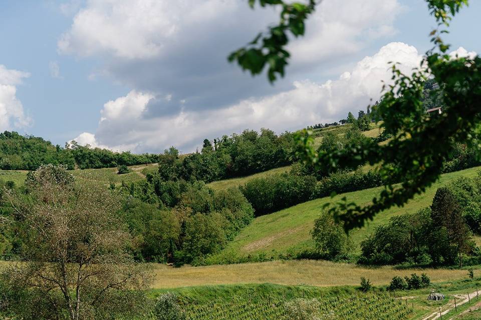 Valle