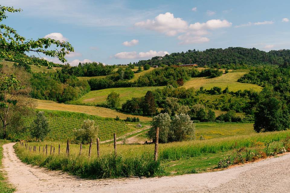 Valle