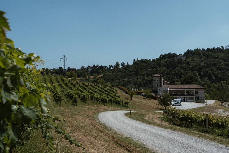 Vigna