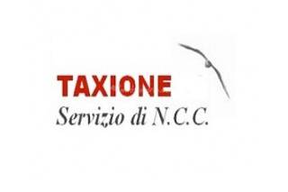 Taxione logo