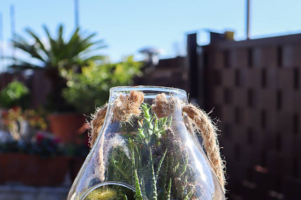 Terrarium