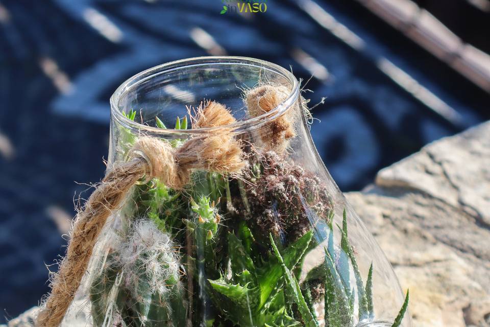 Terrarium