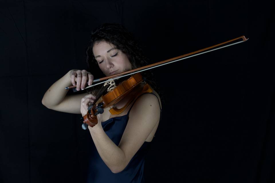 Violino