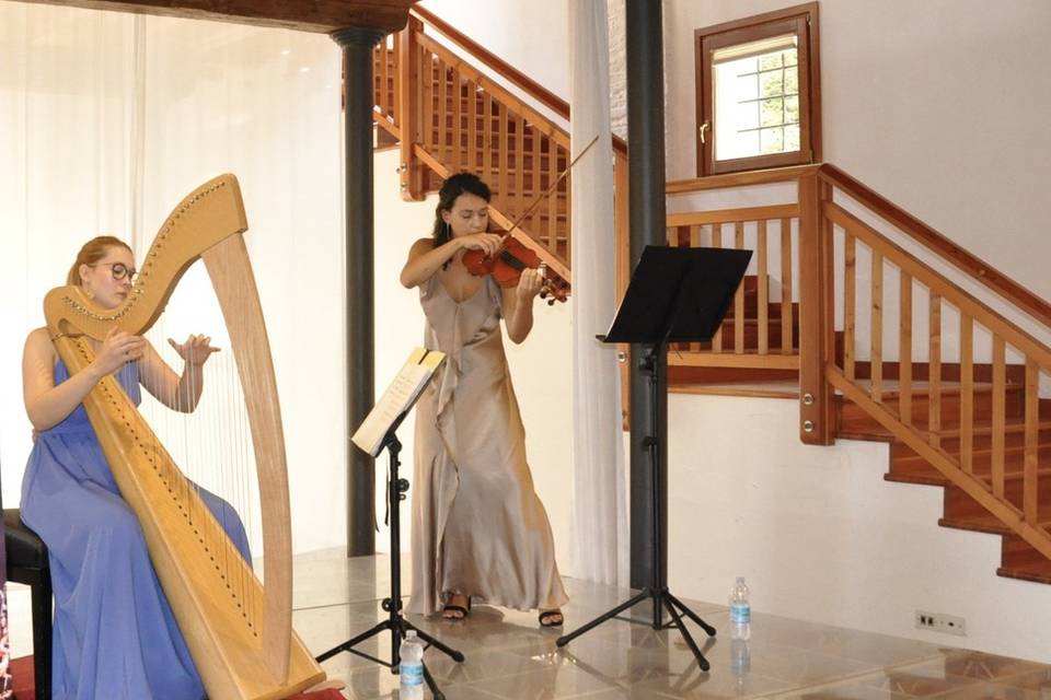 Duo arpa e violino