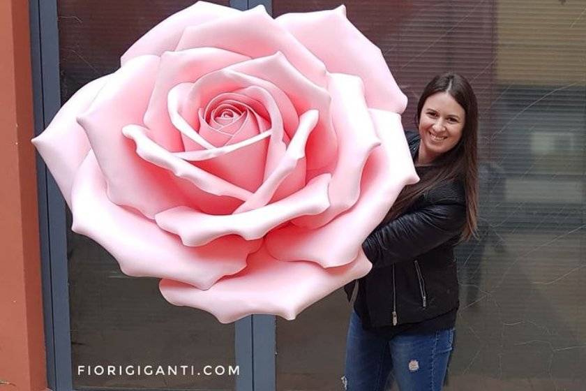 Fiori Gigante Rosa Gigante