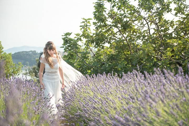 Lavanda