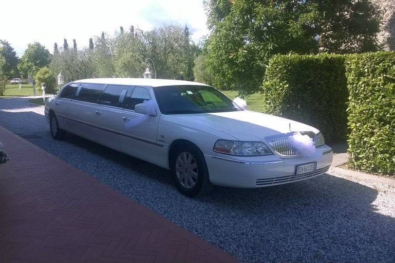 Limousine