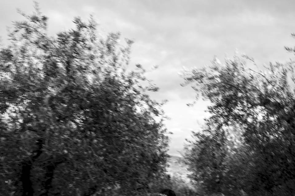Sposa