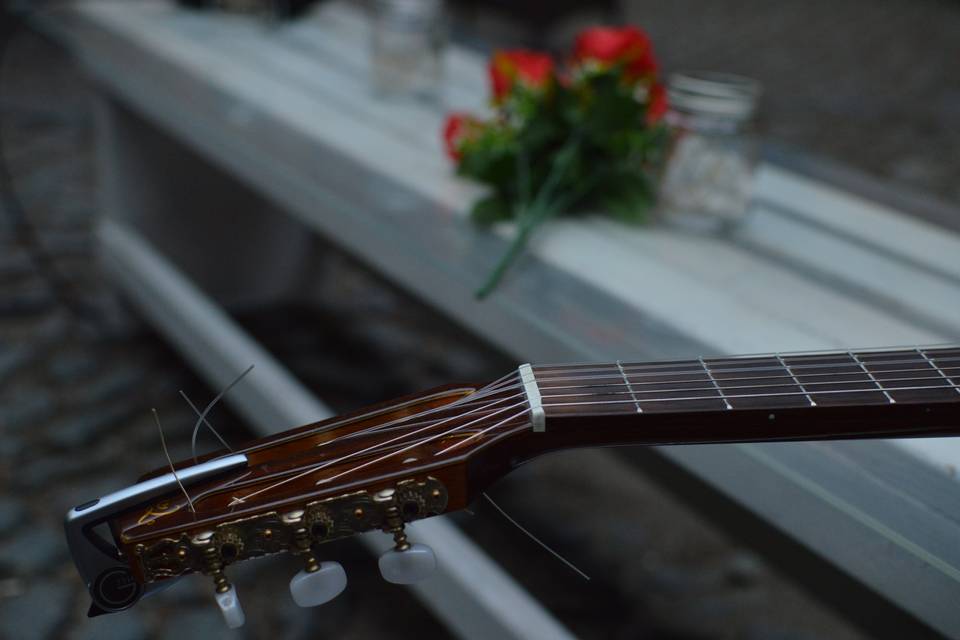Guitar