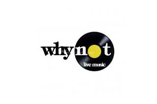 Why not logo
