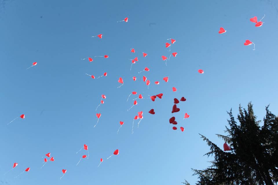 Palloncini colorati