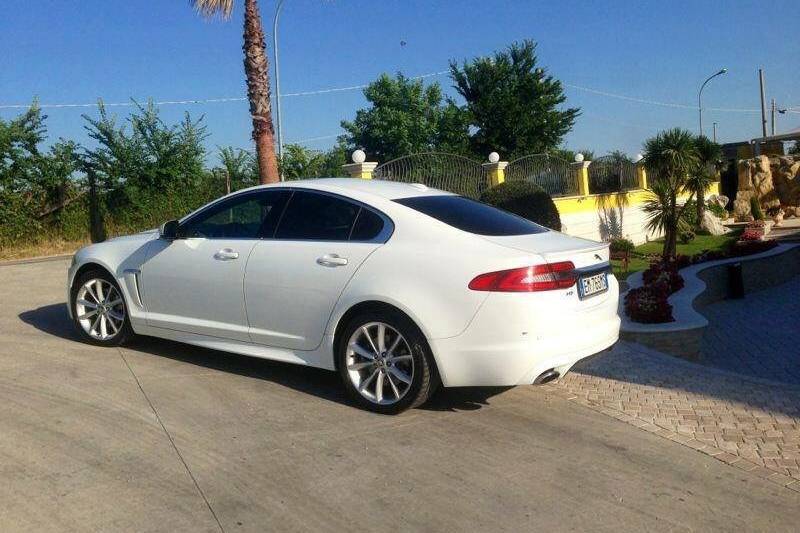 Xf bianco