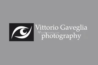 Vittorio Gaveglia logo