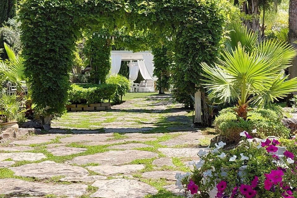 Ingresso