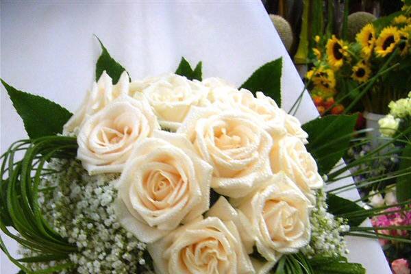 Bouquet