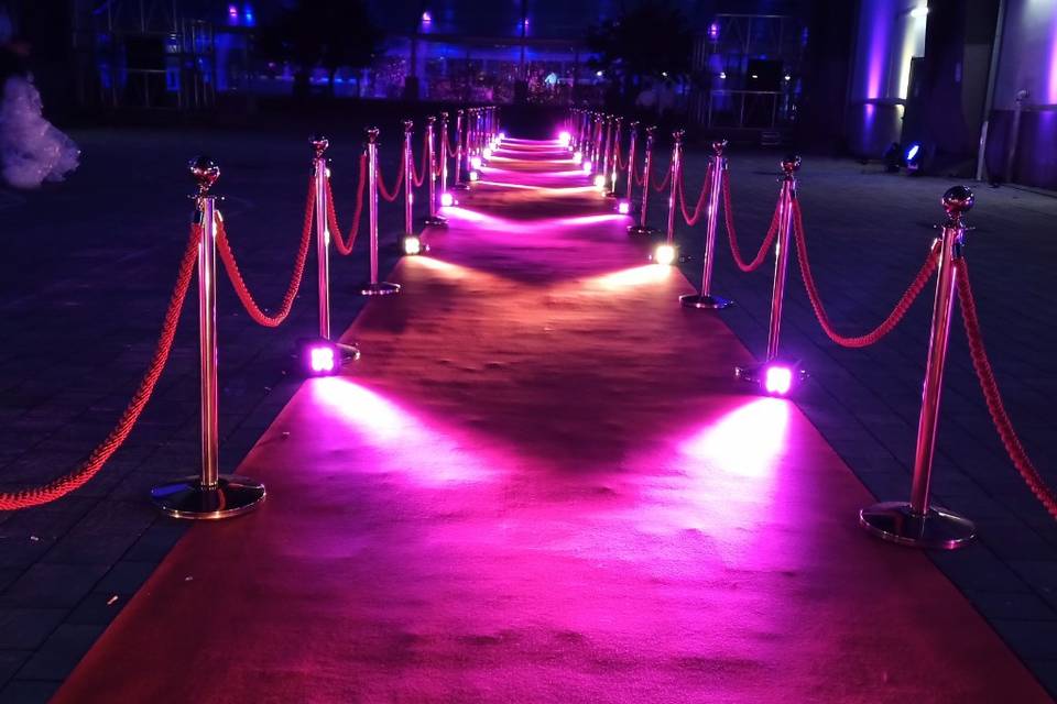 Red carpet