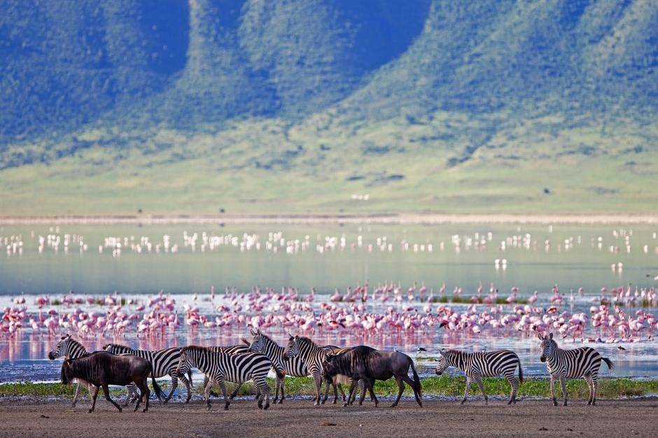 Lo spettacolo della natura