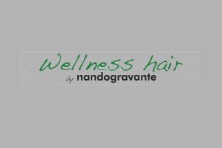 Wellness Hair