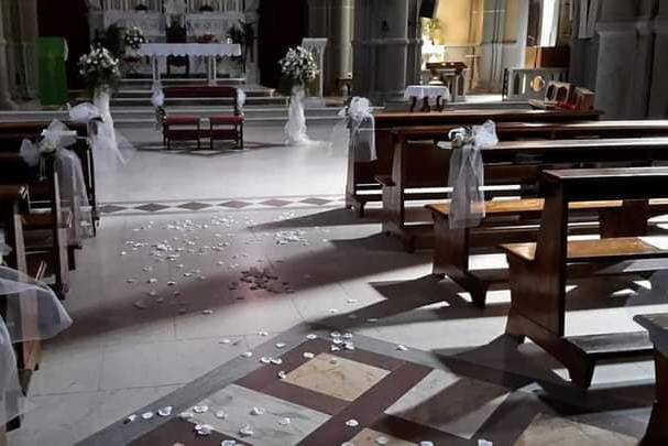 Piante e Fiori Di Batte Maria Grazia