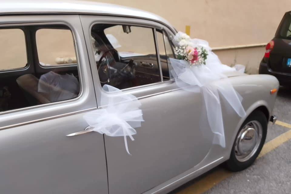 Piante e Fiori Di Batte Maria Grazia