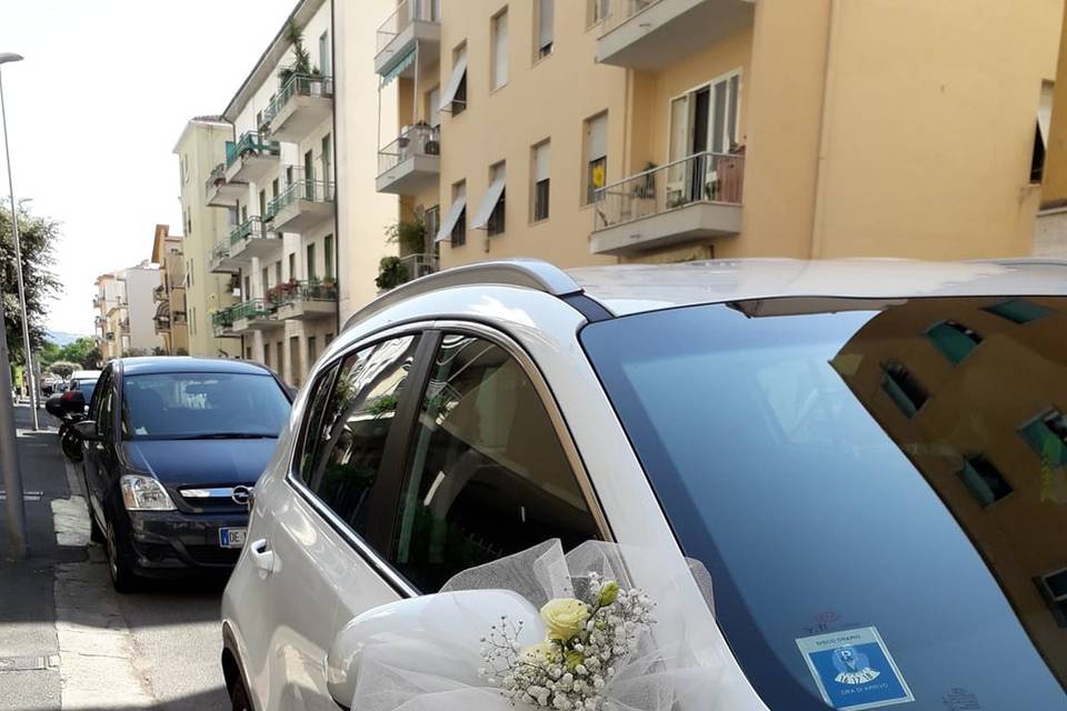 Piante e Fiori Di Batte Maria Grazia