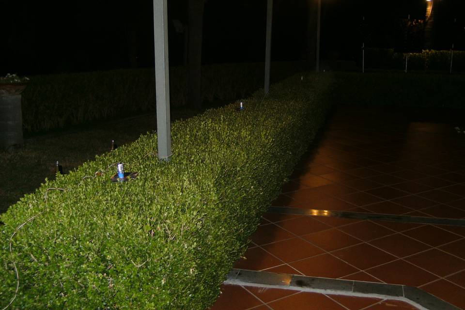 Montaggio