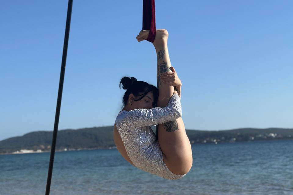 Alessia aerial straps