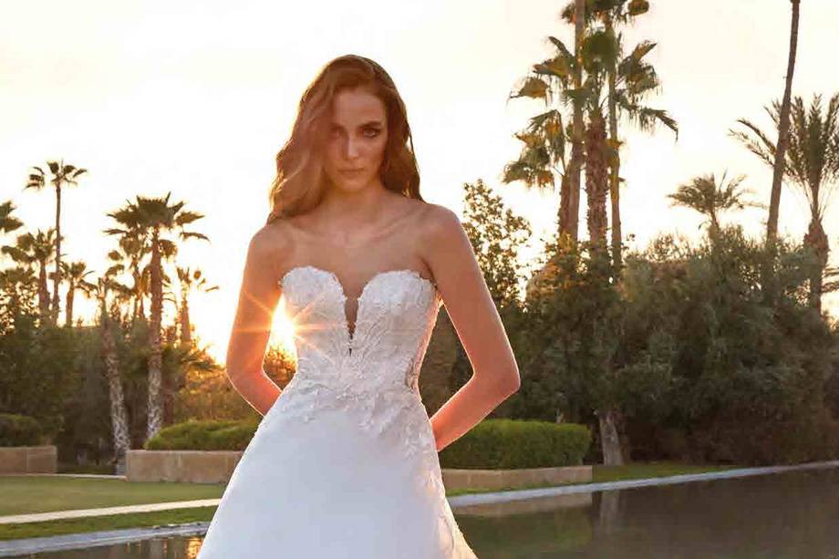 Pronovias 2024