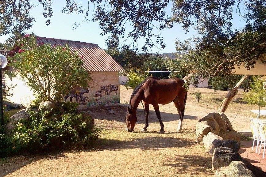 Borgo di Campagna