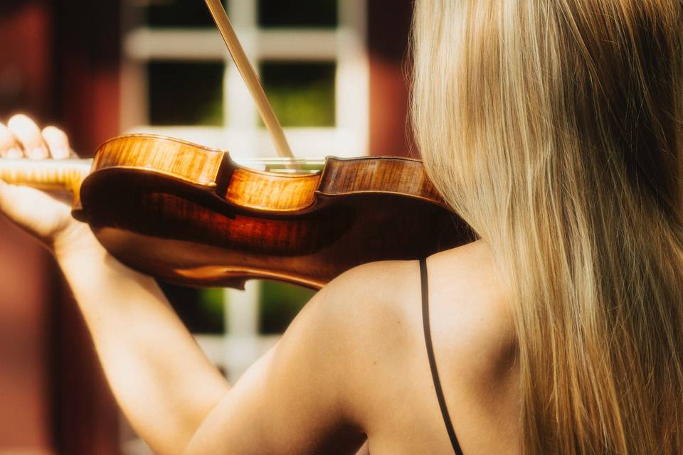 Violinista e pianista